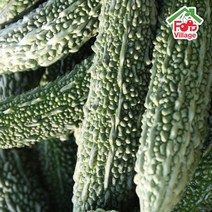 [푸드빌리지] 여주 볶음 여주차 건여주 생여주 무농약인증, 건여주 500g+500g