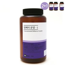 내몸생각 빌베리 대용량 300g 가루 분말 파우더 BILBERRY 2통 구매시1통 추가증정, 300g 1통