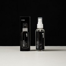 아이센스몰 안티포그 차량 자동차 유리 김서림 방지 스프레이 김서림방지제, 1개, 100ml