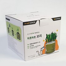 보리 고양이 캣그라스 키우기 헤어볼 애옹이캣잎키우기 애완묘키우기 고린이식용풀, 1개
