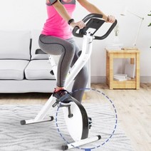 실내 홈트 자전거 가정용싸이클 스피닝자전거 실내사이클 실내자전거 운동기구 홈트 유산소 헬스바이크 헬스자전거 실내운동기구 스핀바이크 실내자전거운동 실내바이크 실내싸이클 자전거운동기구 헬스용자전거 실내용자전거 실내자전거추천 좌식실내자전거, F450 에코엑스사이클