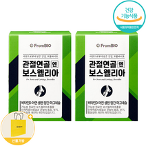 프롬바이오 관절연골엔 보스웰리아 + 생활집사 쇼핑백, 30정, 2개