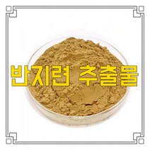 소율국제 반지련 고농축 추출물 분말, 10:1, 200g, 1개