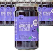 복음자리 블루베리 듬뿍 생생과일 잼 470g (냉장) 과일 청 퓨레 토스트 소스 홈카페 라떼 만들기, 9개