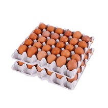 [더 시선] 무항생제 구운계란 싹쓸이 1세트, 60개, 35g