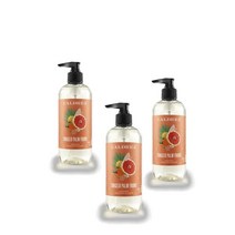 칼드레아 핸드워시 손세정제 핸드솝 액체비누 탄젤로 팜 프론드 10.8oz 320ml CALDREA Hand Soap Tangelo Palm Frond, 3개