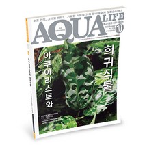 2022 아쿠아라이프 10월호 [아쿠아리스트와 희귀식물], 단품, 단품