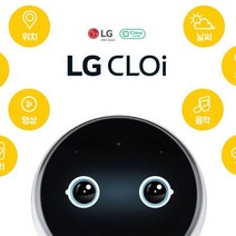 2023년 비주얼박물관B세트40권