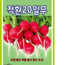 (씨앗) 적환20일 무 600립 종자 빨간무 씨 KS종묘 채소재배, 1개
