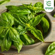 온도씨 가락시장 바질 500g, 1개
