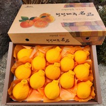 제주 직송 한라봉 과일 가정용 설 명절 선물 세트, 1개, 한라봉-선물용 3kg