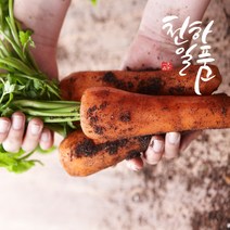 천하일품 제주 구좌 흙당근 3kg 5kg 10kg, 1박스, 10.제주 구좌 흙당근 5kg 왕