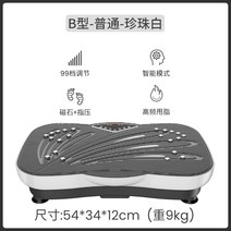 진동 운동기 음파 진동기 운동기구 덜덜이 헬스장 털털이 허리 벨트 마사지 쉐이크 보드, 99단 기어 화이트