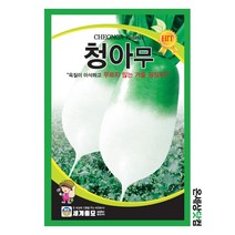 청아무 15g 30g / 무씨앗 무우씨 김장무 베란다텃밭