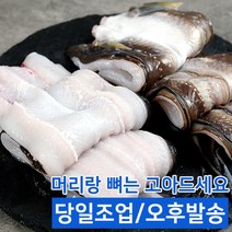 온수유 자연산 손질 바다장어 최고급 국내산 거제 장어, 대장어10kg