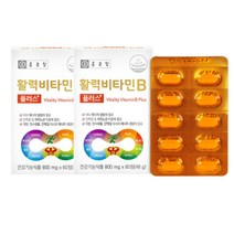 종근당 활력 비타민B 플러스 800mg 60정 2박스 (4개월분), 2개