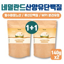 네덜란드 카제인 단백질 분말 BCAA 산양유 류신 단백질 BACC 비씨에이에이 단백질 프로틴 아미노산 보충제 먹는 분리유청 단백질 PROTEIN WPI 보충제 웨이프로틴 헬스부스터 파우더