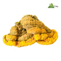 자연산 황철 상황 버섯 1kg