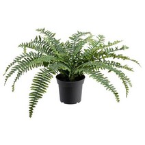 이케아 IKEA 인조식물 실내외겸용 고사리 41cm