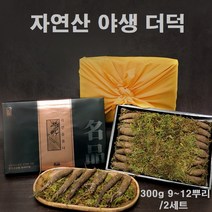 야생더덕 자연산 산더덕 겨울더덕 사삼 더덕주 사포닌 선물세트 자연산더덕 선물, 2세트, 300g