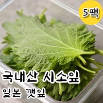 신선한 생 시소잎 일본깻잎 5팩 시소 차조기 차즈기 자소엽 소엽 잎 회깻잎 일식 식당 업소용 가정용 재료 스시 아오시소 잎채소, 5팩(1팩당 30장내외)