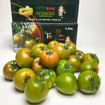 대저 짭짤이 토마토 가정용 2.5kg, 대저토마토 2.5kg 가정용,중과(L/M)