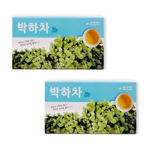 박하차 100% 국산 박하 상쾌 시원 0.7g 100티백 2박스, 단품