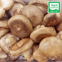 농사꾼아내 무농약 생표고 버섯 500g/1kg 못난이 파지 가정용, 표고버섯 가정용 1kg (최대5개가능)