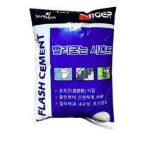 승현 빨리굳는 시멘트 백색 1kg, 10개