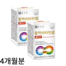종근당 활력 비타민B 플러스 800mg x 120정 4개월분