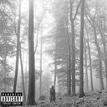 핫트랙스 TAYLOR SWIFT - FOLKLORE [IN THE TREES EDITION]