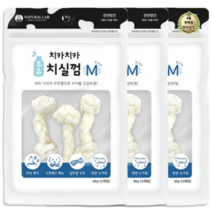 라이브잇 내츄럴랩 치카치카 강아지 우유 치실껌 M 45g, 9개