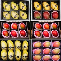 태국망고 애플망고 프리미엄 망고 과일 선물세트, 상세페이지 참조8, 태국망고2kg 4-6과 일반