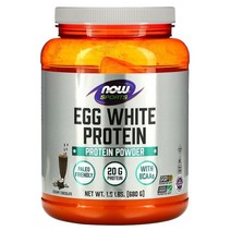 Now Foods 나우 푸드 에그 화이트 단백질 프로틴 가루 파우더 크리미 초콜릿 Egg White Protein 680g