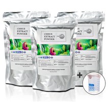 OENY 시서스가루 500g 50배고농축 24개월분 CISSUS EXTRACT 100%, 1개, 500gx3개