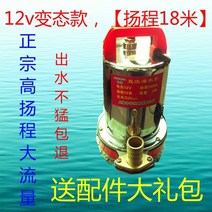 농업용양수기 소형 엔진 물 펌프 12v DC 잠수정 24v48v60v 전기 자동차 워터, 12v 120w 3미터 라인