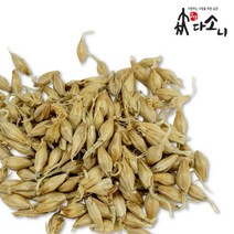 보담다소니 맥아 국내산 500g, 생맥아 국내산 500g, 1개