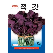 (씨앗) 적갓 - 붉은 갓 - 김치 속재료 양념용 갓 - 적갓 씨앗 종자 - 20g