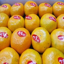 [올즈마켓] 하우스 감귤 꼬마 2S (500g x 2팩), 상세 설명 참조