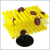 유동 모자이크막 세포모형R