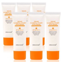 더마쉐어 비건 워터풀 비타민 선크림 SPF50+ PA++++, 6개, 50ml