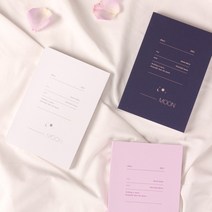 [대시앤도트] 2021 문 다이어리 S, 발레핑크