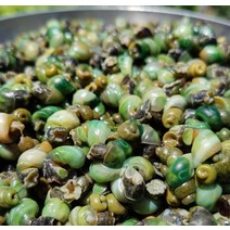 어부가잡는 자연산 깐다슬기 생다슬기, 깐다슬기 세트