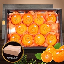 [참다올][신세계TV쇼핑 명절선물][수출하는제주과일]제프런 한라봉3kg(13-16과)