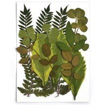 1 팩 말린 꽃 UV 수지 자연 스티커 라이 뷰티 DIY 에폭시 충전 쥬얼리 장식 2022, 08