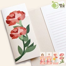 어버이날 스승의날 카네이션 용돈 편지봉투 카드세트