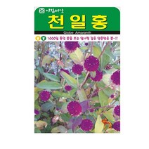 SN월드 야생화 씨앗 꽃씨앗 모음, 야생화 - 천일홍(100립)
