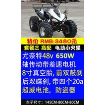 4륜구동 오토바이 ATV 네발 농업용사륜바이크 산악 오프로드 다목적운반차 팜트럭 크고, 전기 소형 화성 패키지 3