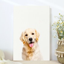 강아지 고양이 애완동물 반려동물 반려견 사진 방꾸미기 인테리어 캔버스 액자, 16리트리버