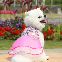 애견의류 애완 동물을 위한 여름 꽃 웨딩 드레스 럭셔리 개 옷 강아지 신부 가운 얇은 명주 그물 스커트 작은 중형 개를 디자이너 의류, [04] L, [02] Color2